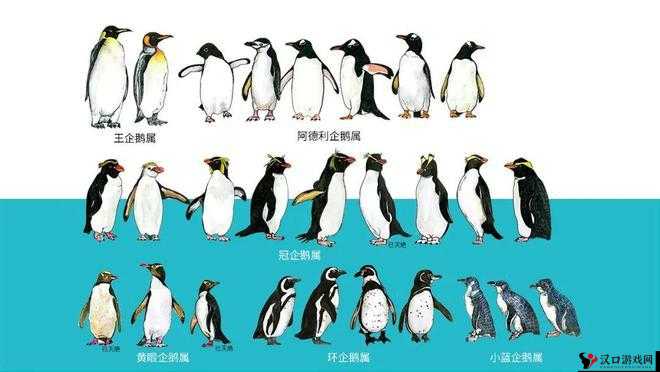 欢乐球吃球帝企鹅怎么获得及帝企鹅进化形态图鉴介绍
