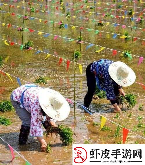 用七十二插秧招式演绎农耕文化
