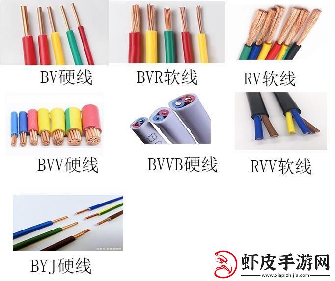 崛起的新星