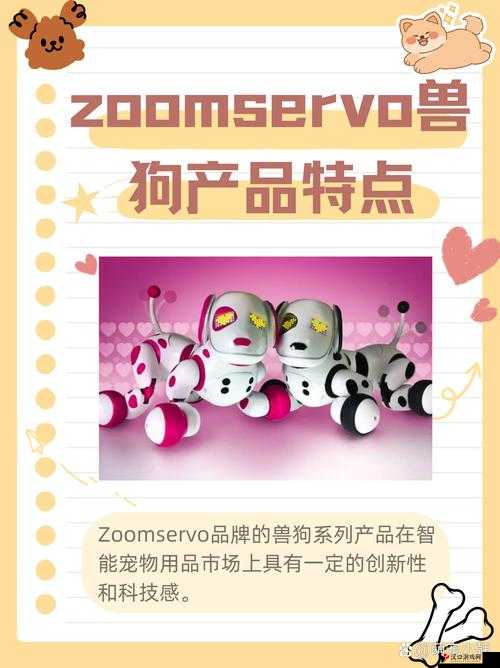 ZOOMSERVO 兽站长推:探索新奇内容的独特平台