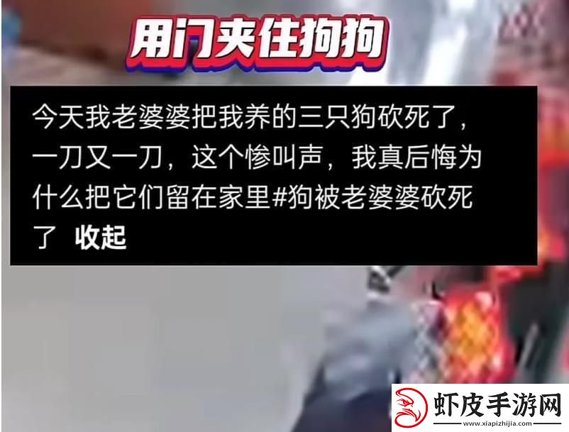 “汪星人与宇宙无敌老佛爷的世纪大战！”