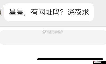 深夜求网站 2019 之独特探索与发现