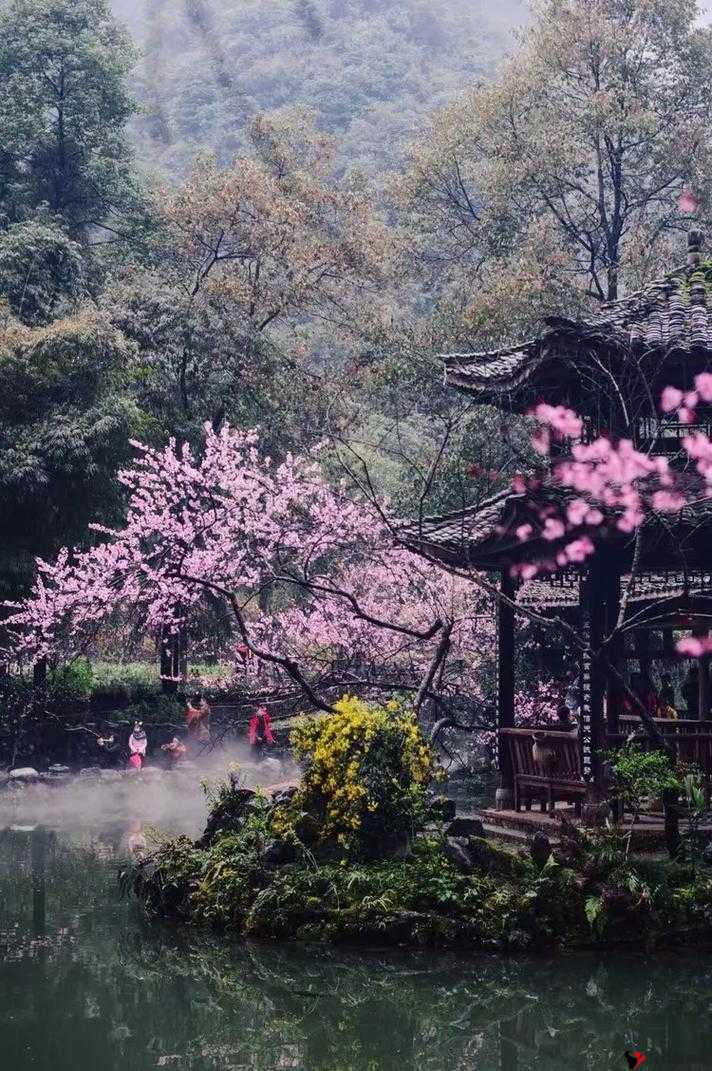 桃花深处水潺潺:探寻那如梦如幻的世外桃源之美