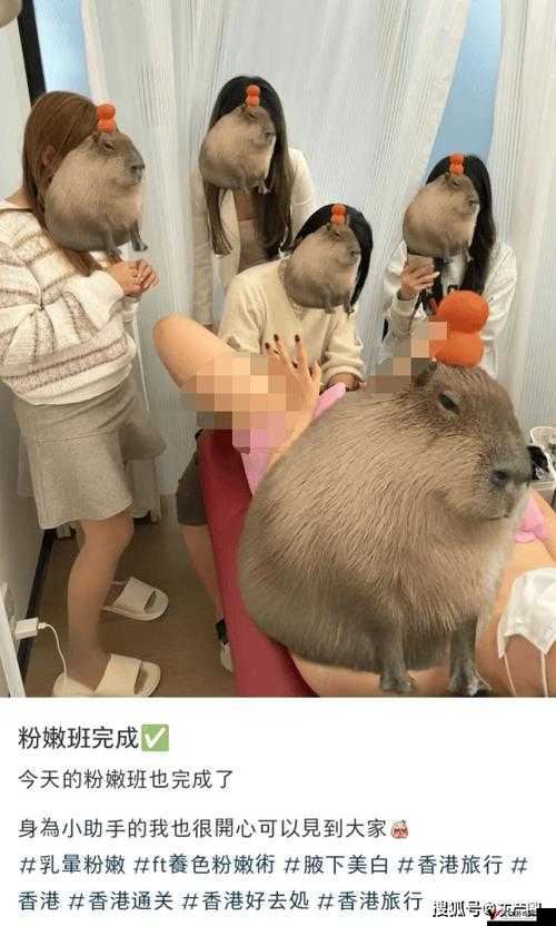 无遮挡粉嫩小泬那令人久久难以忘怀的独特魅力