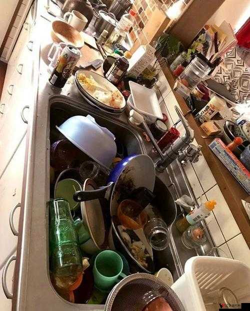 日本厨房之乱：不为人知的秘密（