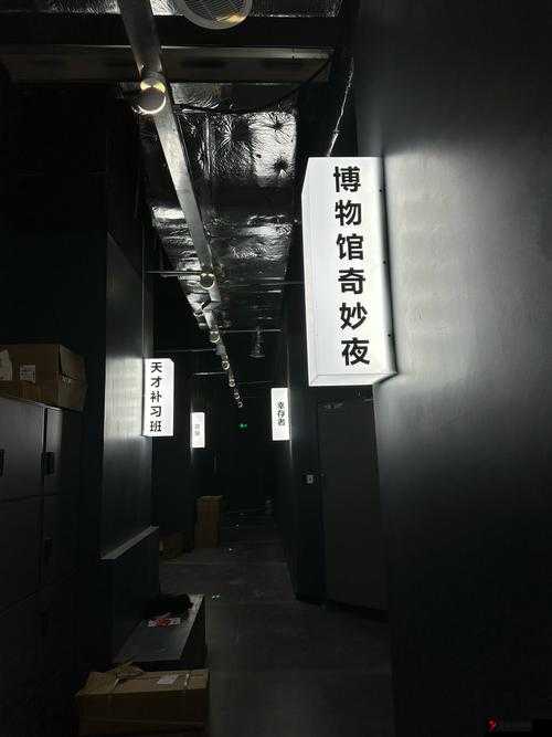 服软 sc1v2 星光 :探寻其背后不为人知的故事与秘密