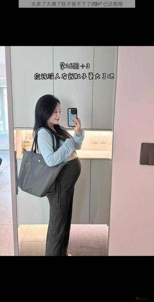 太多了太满了肚子装不下了怎么办该如何是好呢
