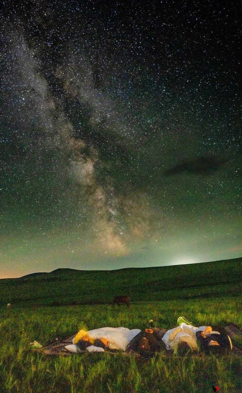 磨菇传媒星空：一个充满无限可能与精彩的独特存在