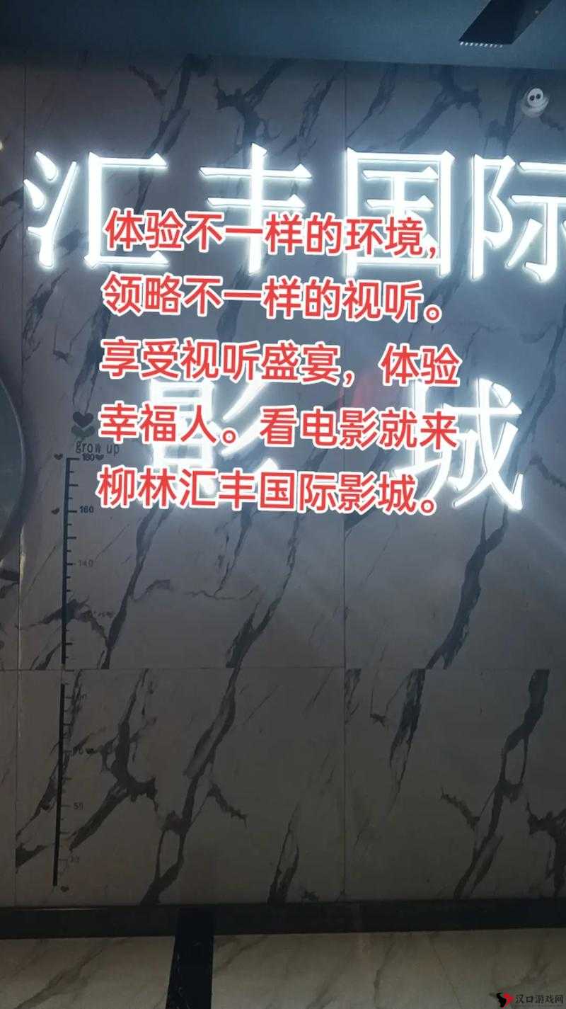 与子敌伦刺激对白播放：颠覆传统，体验全新视听盛宴