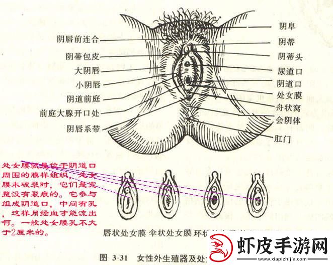 “大”不是问题