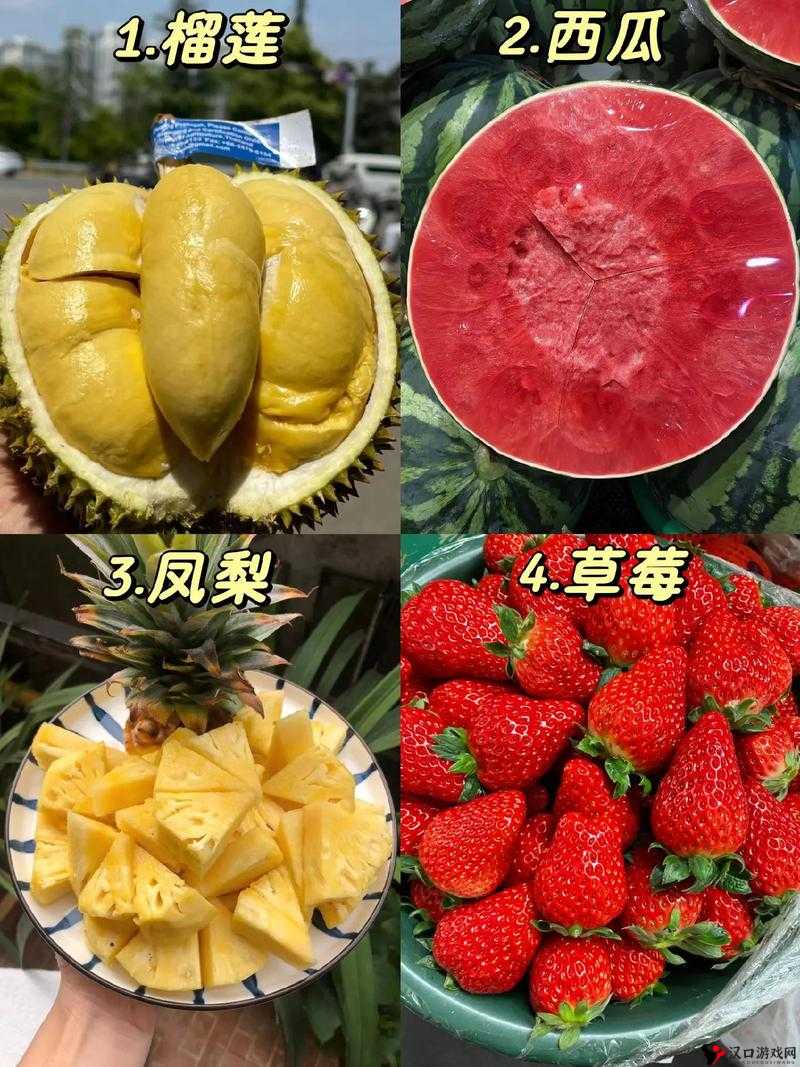 榴莲草莓西瓜茄子黄瓜的奇妙世界与独特魅力大揭秘