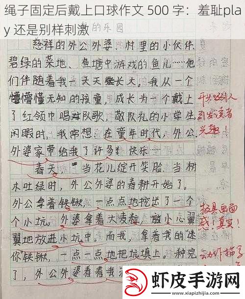 绳子固定后戴上口球作文