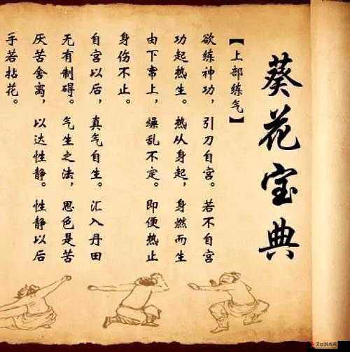 葵花宝典未满十八岁者请立刻停止开启相关内容