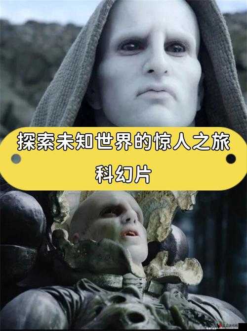神秘电影 5 条路径:探索未知世界的五条奇幻冒险旅程