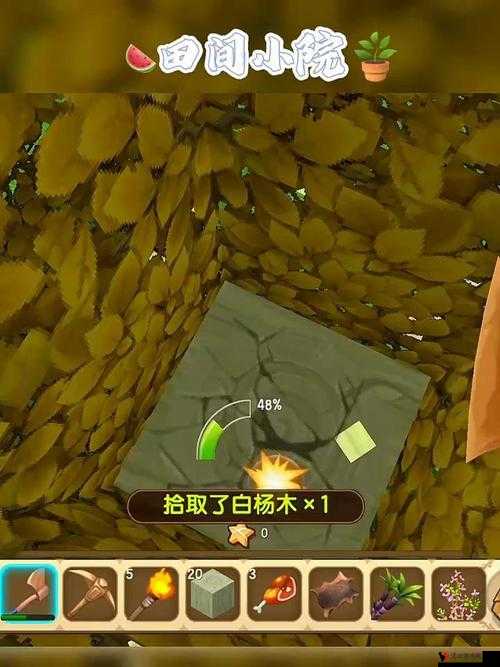 迷你世界白杨木树苗的获取与管理,资源利用的艺术