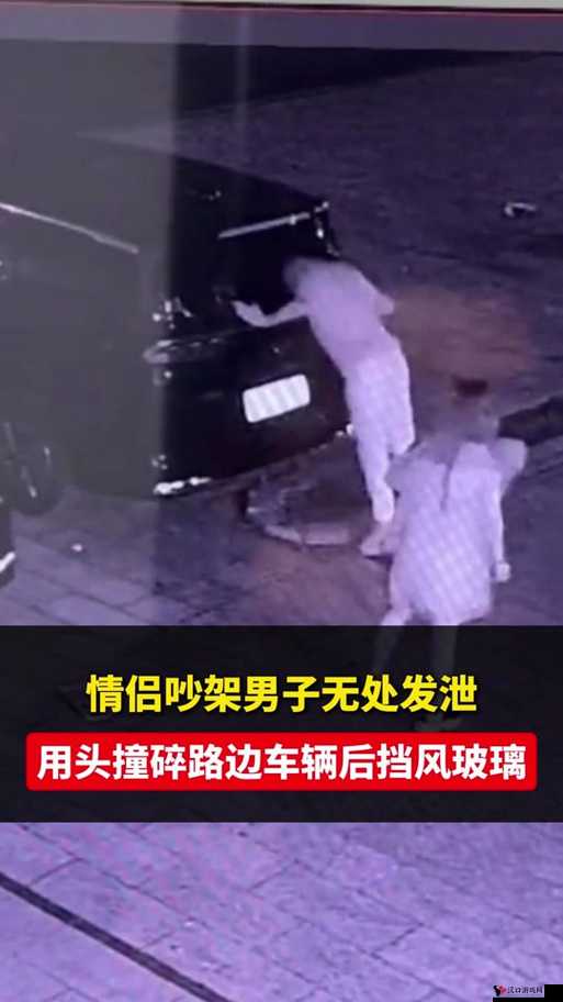 张警官撞玻璃高清视频大全百度云:震撼场面全记录
