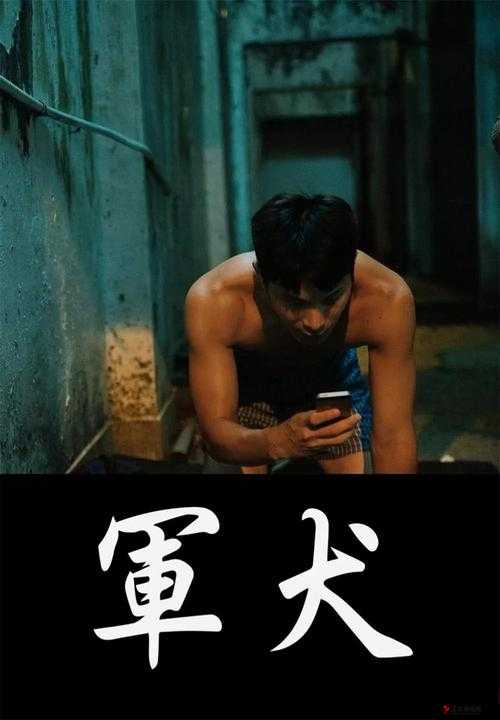 中国 bdsmchinesehd:探索性与爱的多元领域