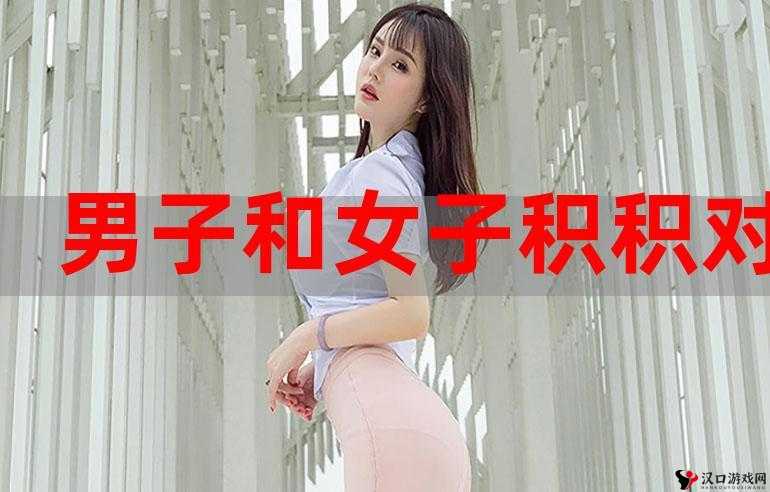 积枳桶积枳免费大全在线看:畅享精彩影视无极限