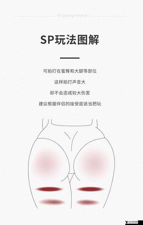 关于把 PP 打烂的别样思考与阐释