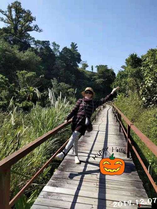 老色鬼导航:带你探索别样趣味之旅