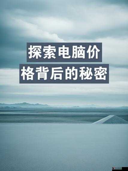 BY 最新网站是什么啊:探索最新网站背后的秘密与价值