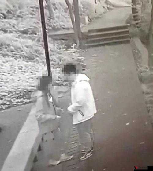 国产野战无套 Av 毛片户外：刺激的野外性行为探索