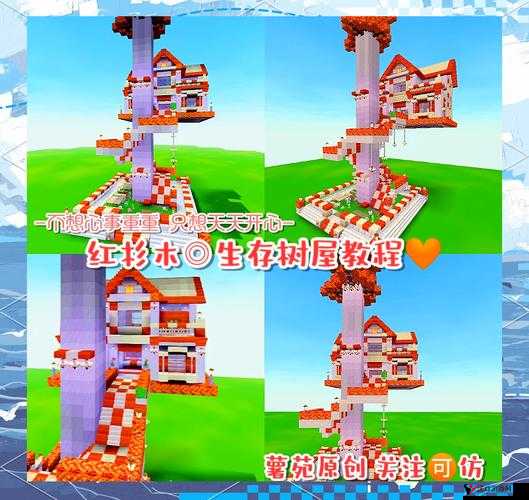 迷你世界探秘,红杉木的秘密宝藏