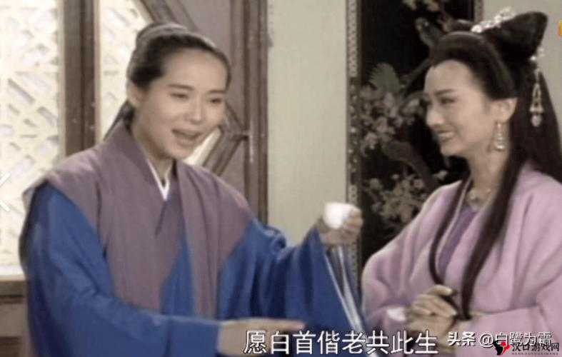 许仙小青药房爱草屋:传承中医药文化的温馨之地