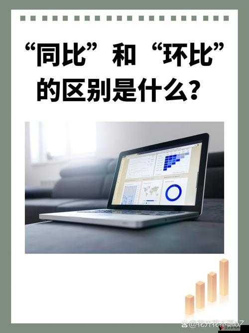 B 与 B 不同区别-探究其背后的深层因素及显著特征