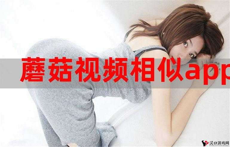 蘑菇视频:释放你的激情,畅享无限精彩