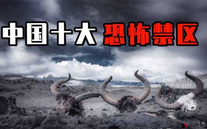 无人区一码二码高高:荒野中的神秘数字之谜