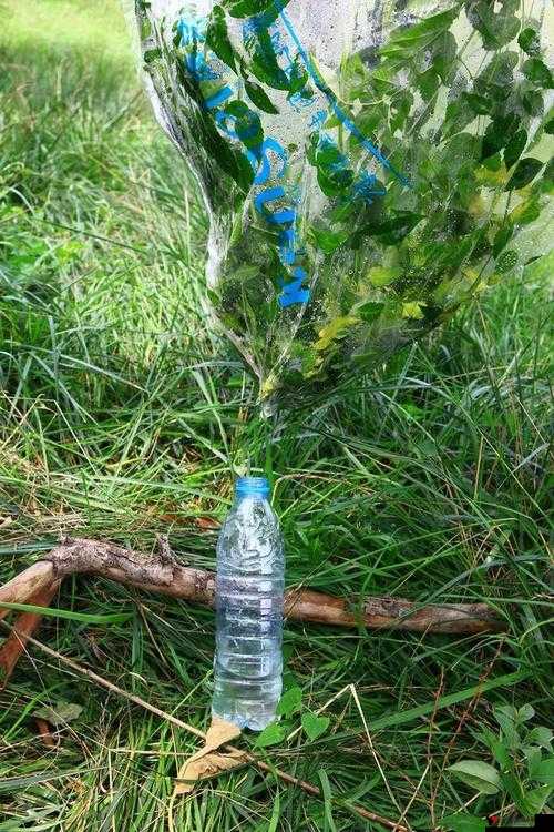 手指划入缝隙挖水:艰难处境中寻求生存水源的不懈努力