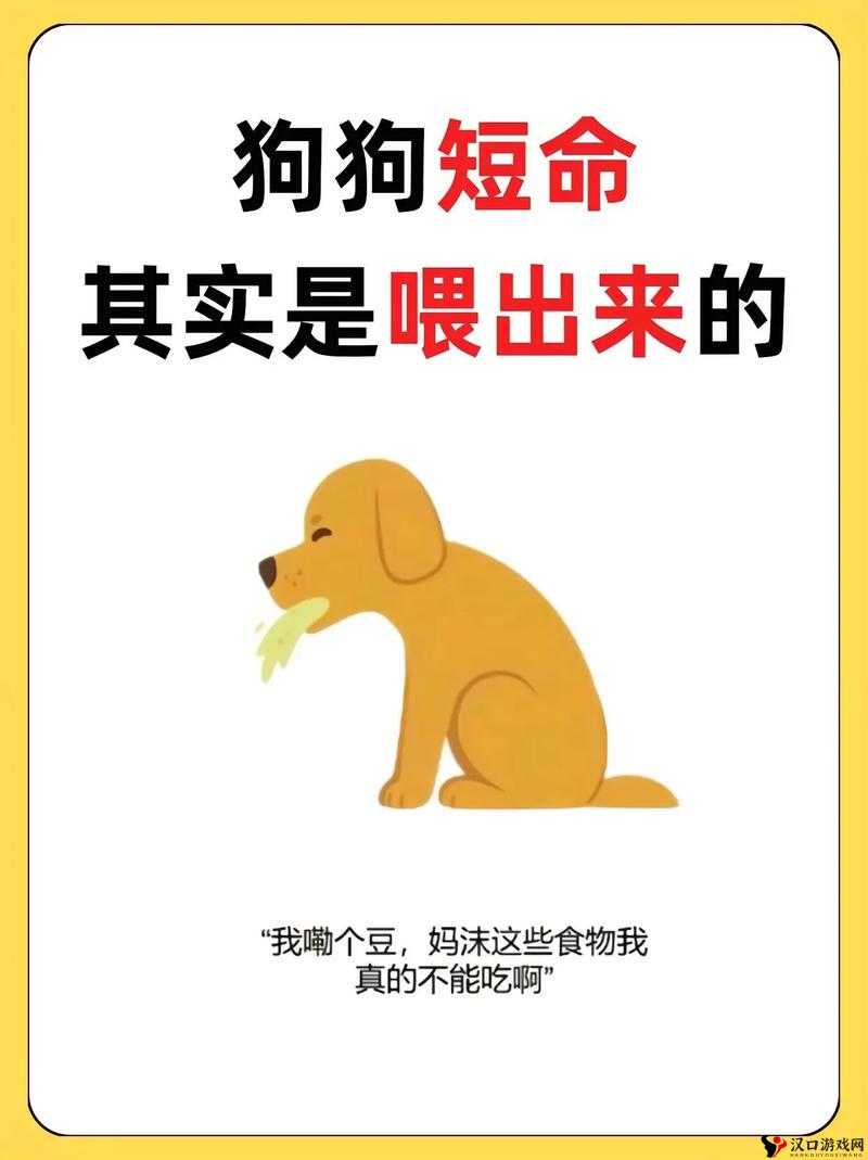 人狗胶配方大全狗狗一天吃多少:详细解析与注意事项