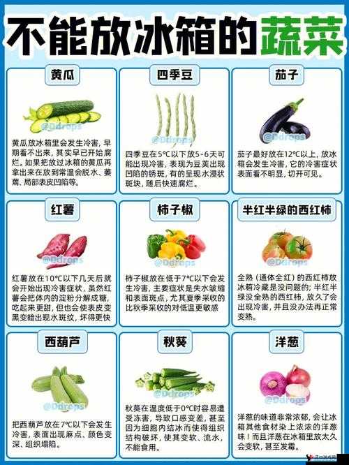 榴莲秋葵向日葵茄子丝瓜大全之各种蔬果详细介绍与特点分析