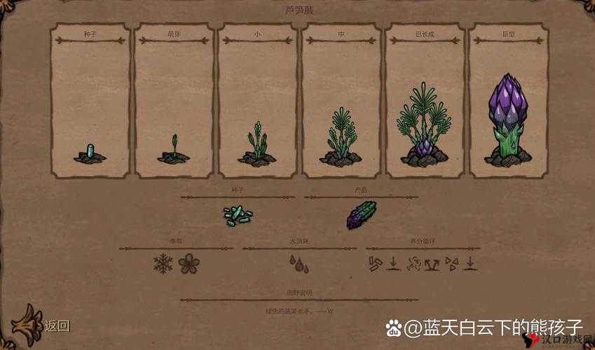 饥荒世界里的奇妙宝藏,多肉球茎的秘密