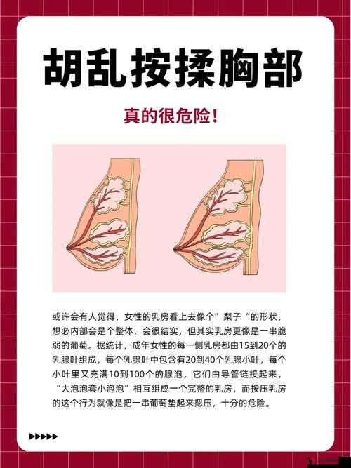 摸奶：一个引发争议的手机应用