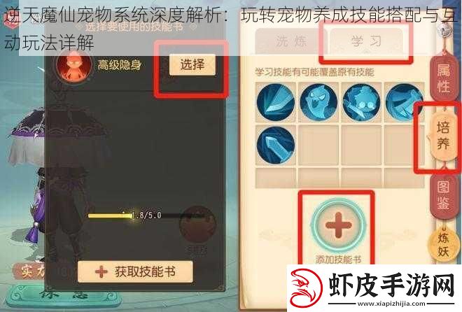逆天魔仙宠物系统深度解析