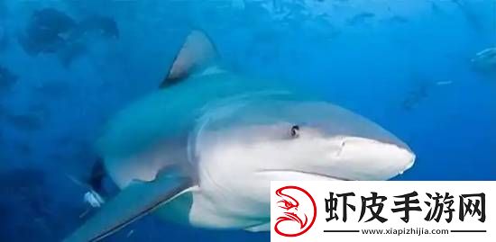 你敢信吗