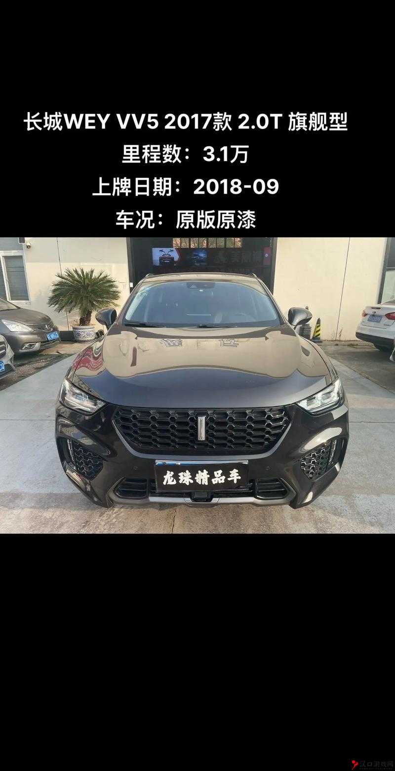 weyvv5 国产 SUV 深度评测:全方位解析,不止于颜值