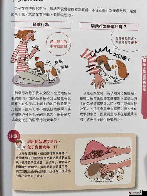 对象咬自己小兔兔时的独特感受与体验