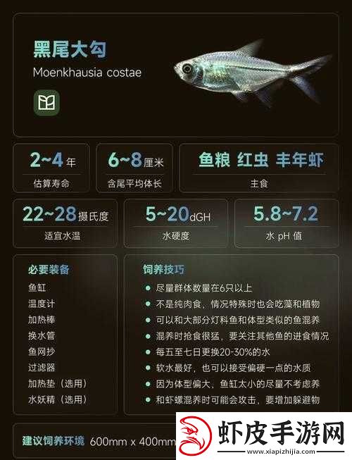 又大又长又粗又大又黑且极具特色的奇妙事物