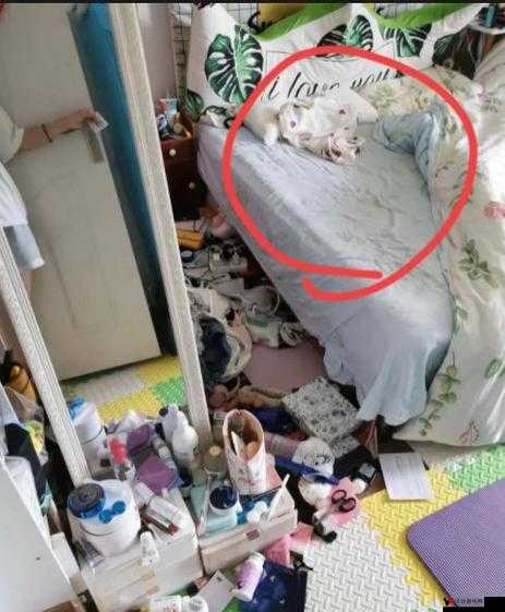 儿子床底下有黏糊糊的卫生纸:引发父母深深的担忧与困惑