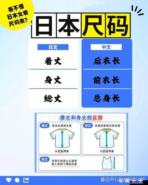 日韩码一码二码三码的区别