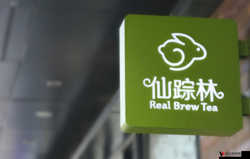 真实呦女酱网址仙踪林带你畅享独特精彩世界