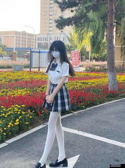JK 无毛**:一场别样的视觉冲击与想象之旅