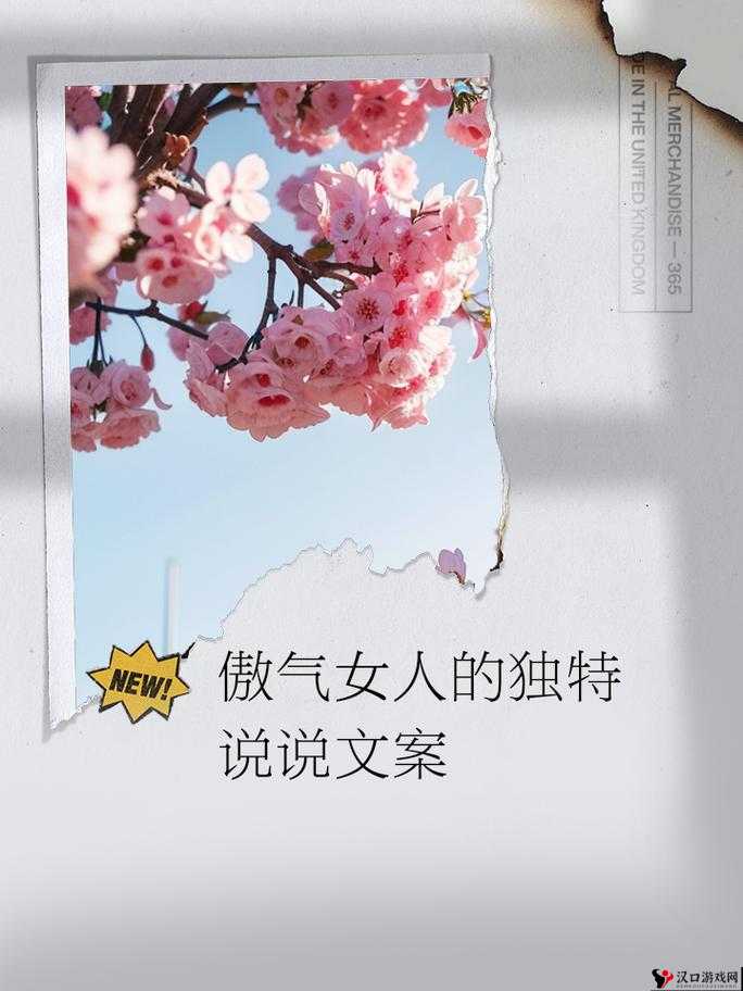 女人我最美:展现独特魅力 绽放自信光芒 书写精彩人生