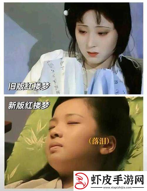 黛玉初试金箍棒第二章