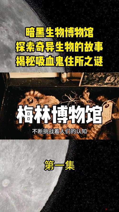 暗黑爆料官方入口 51:探寻背后不为人知的神秘真相