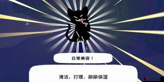 小猫咪大城市日常美容动作怎么获得:揭晓获取方法
