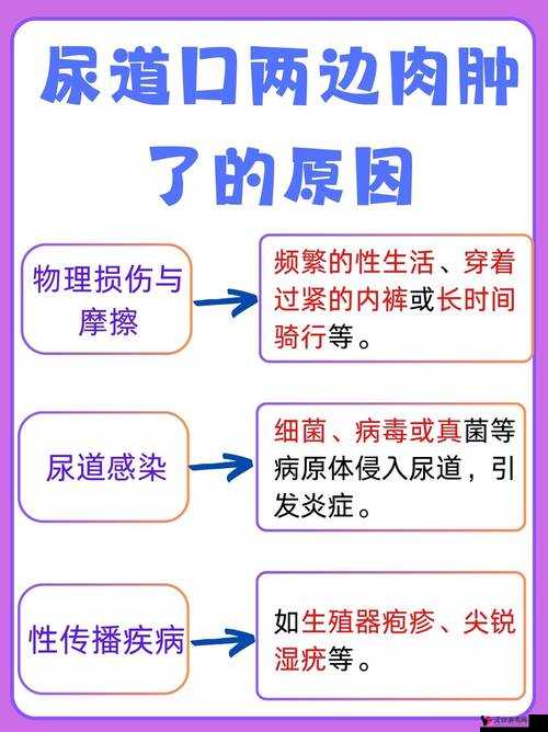尿道口两边的肉肿了原因探析及相关症状表现